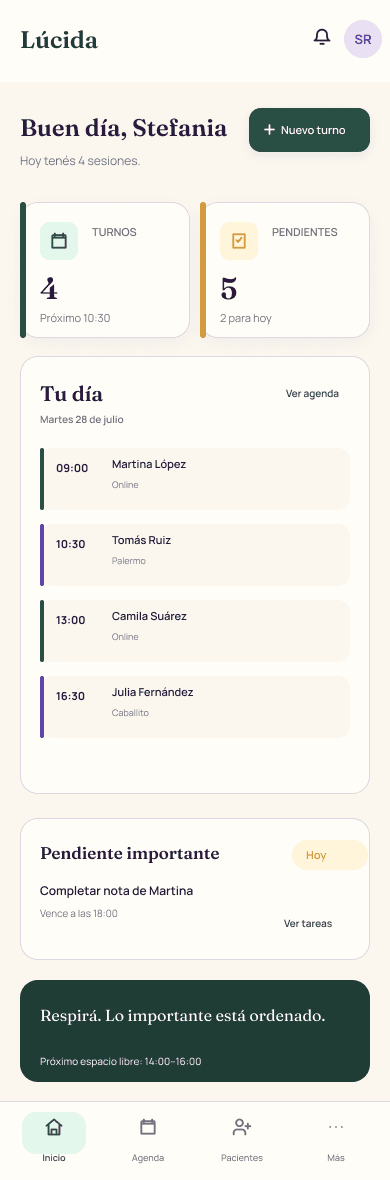 Panel principal de Lúcida en celular